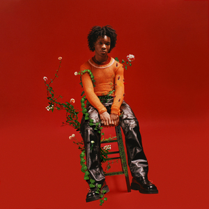 亚洲欧美一区二区三区久久
